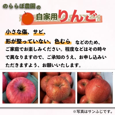 【先行受付2026年発送】農家直送!自家用りんご シナノスイート　5kg (約12～18個)