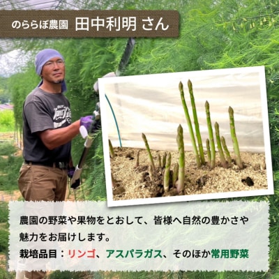 【先行受付2026年発送】農家直送!自家用りんご シナノスイート　5kg (約12～18個)