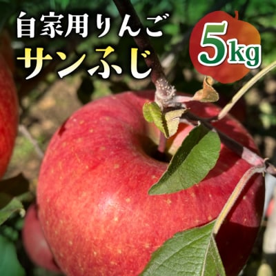 【先行受付2026年発送】農家直送!自家用りんご サンふじ　5kg (約12～18個)|のららぼ農園