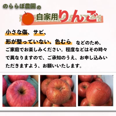 【先行受付2026年発送】農家直送!自家用りんご サンふじ　5kg (約12～18個)|のららぼ農園