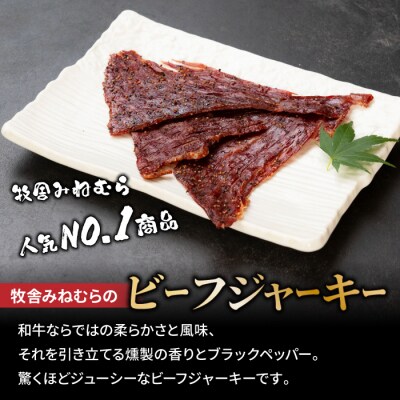【信州プレミアム牛】ビーフジャーキー35g×5個セット|牧舎みねむら