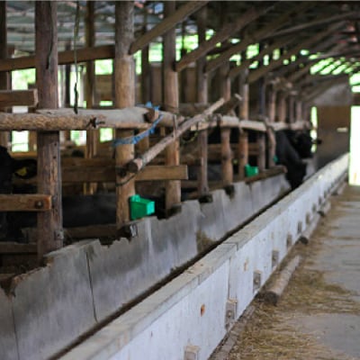 【牧舎みねむら】ビーフジャーキー　35g×5個セット