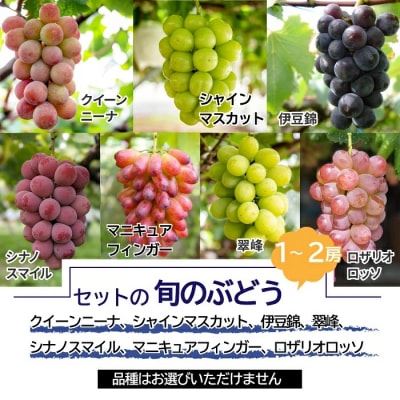 【先行受付2026年発送】巨峰栽培70周年記念セット(計2～4房、約1.2kg～1.5kg)|秀果園