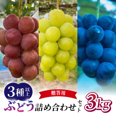 【2026年先行受付】農家直送!贈答用ぶどう詰め合わせセット 3kg(6～10房)|おぎはら園