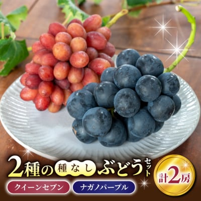 【先行受付2026年発送】2種の種なしぶどうセット(クイーンセブン・ナガノパープル) 合計2房セット