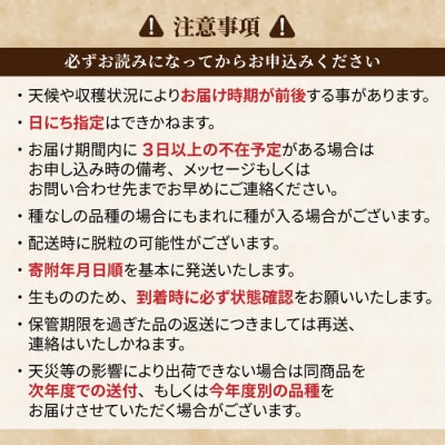 【先行受付2026年発送】訳アリシャインマスカット B級品　1.5kg以上|あおさく農園