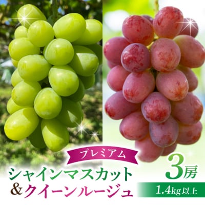 【先行受付2026年発送】シャインマスカット&クイーンルージュ(R) プレミアム 3房 