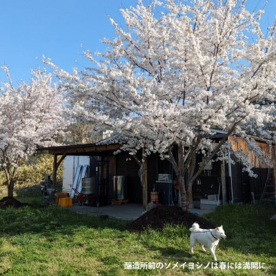 赤ワイン(メルロー)2020、2021 ヴィンテージ、合計2本セット【アトリエデュヴァン】