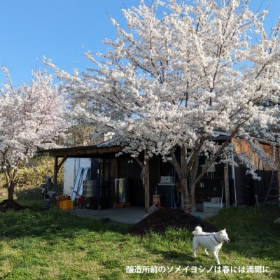 【アトリエデュヴァン】赤ワイン(ピノ・ノワール、メルロー)2020ヴィンテージセット、合計2本