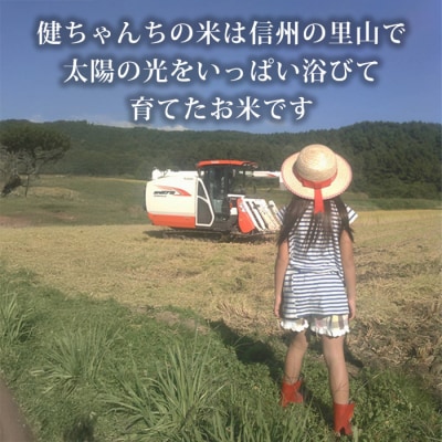 コシヒカリ白米10kg(5kg×2袋) 米・食味鑑定分析コンクール特別優秀賞受賞!ライスファーム小林