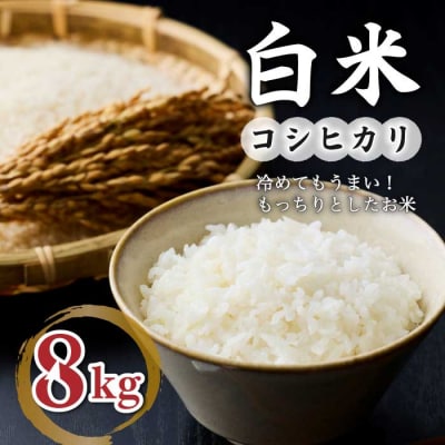 白米8kg(4kg×2袋) 冷めても美味しいコシヒカリ【小田農園】|最短4〜7日程度でお届け