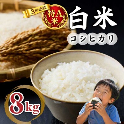 白米8kg(4kg×2袋) 冷めても美味しいコシヒカリ【小田農園】|最短4〜7日程度でお届け
