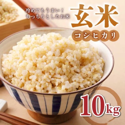 玄米10kg(5kg×2袋)冷めても美味しいコシヒカリ【小田農園】　　|最短4〜7日程度でお届け