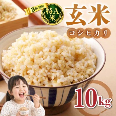 玄米10kg(5kg×2袋)冷めても美味しいコシヒカリ【小田農園】　　|最短4〜7日程度でお届け