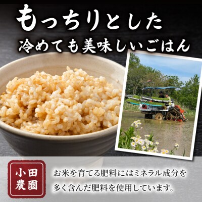 玄米10kg(5kg×2袋)冷めても美味しいコシヒカリ【小田農園】　　|最短4〜7日程度でお届け