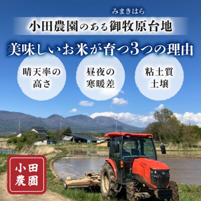 玄米10kg(5kg×2袋)冷めても美味しいコシヒカリ【小田農園】　　|最短4〜7日程度でお届け