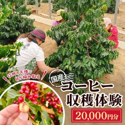 国産コーヒー収穫体験4名様分 20,000円分 |コーヒーチェリー 収穫 試飲 体験