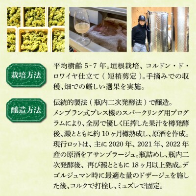 スパークリングワイン「ミノワ レ・クリュ・ブリュット」 1 本【ぼんじゅーる農園醸造所】