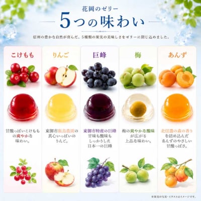 夏季限定!信州のフルーツゼリー12個セット(巨峰、こけもも、あんず、りんご、梅)【御菓子処花岡】　