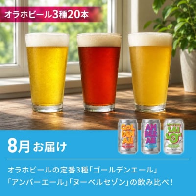 【2回定期便】シャインマスカットと地ビールの人気セット(シャイン2房とクラフトビール20本)