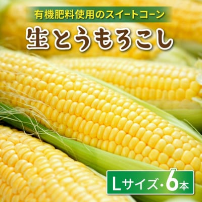 生とうもろこし Lサイズ 6本 有機肥料使用のスイートコーン! 長野県東御市産 