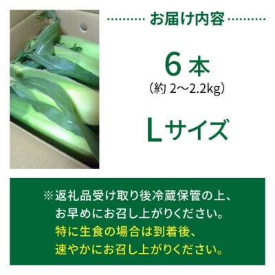 生とうもろこし Lサイズ 6本 有機肥料使用のスイートコーン! 長野県東御市産 
