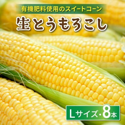 生とうもろこし Lサイズ 8本 有機肥料使用のスイートコーン! 長野県東御市産 