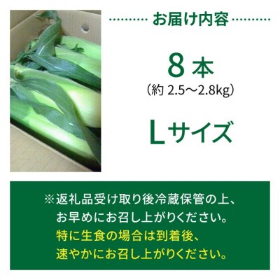 生とうもろこし Lサイズ 8本 有機肥料使用のスイートコーン! 長野県東御市産 