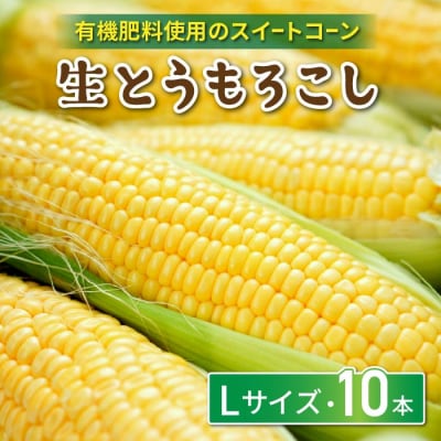 生とうもろこし Lサイズ 10本 有機肥料使用のスイートコーン! 長野県東御市産 