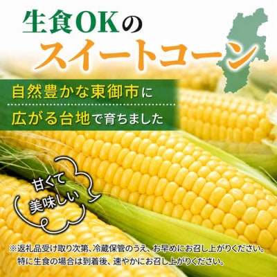 生とうもろこし Lサイズ 10本 有機肥料使用のスイートコーン! 長野県東御市産 