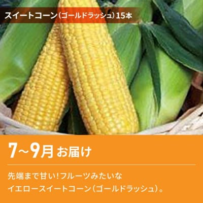 【2回定期便】旬の味覚定期便(フルーツみたいなイエロースイートコーン15本・シャインマスカット2房)