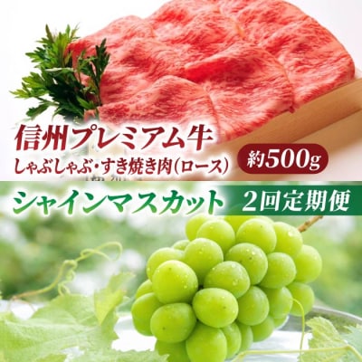 【2回定期便】信州プレミアム牛(しゃぶしゃぶ・すき焼き肉ロース 500g)・シャインマスカット 2房