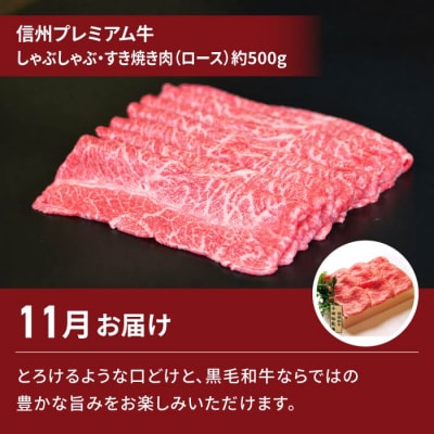 【2回定期便】信州プレミアム牛(しゃぶしゃぶ・すき焼き肉ロース 500g)・シャインマスカット 2房