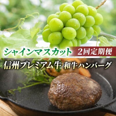 【2回定期便】信州プレミアム牛肉(ハンバーグ4個)・シャインマスカット 2房