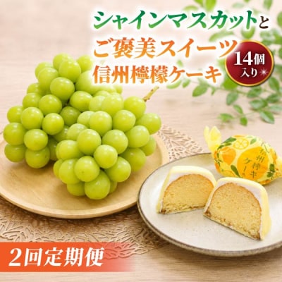 【2回定期便】高評価!シャインマスカットとご褒美スイーツ定期便(シャインマスカット/信州檸檬ケーキ)