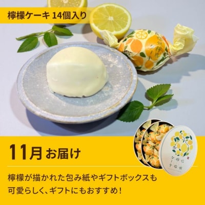 【2回定期便】高評価!シャインマスカットとご褒美スイーツ定期便(シャインマスカット/信州檸檬ケーキ)