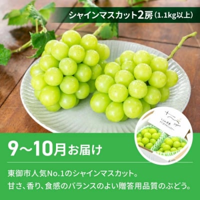 【2回定期便】高評価!シャインマスカットとご褒美スイーツ定期便(シャインマスカット/胡桃の醍醐味)