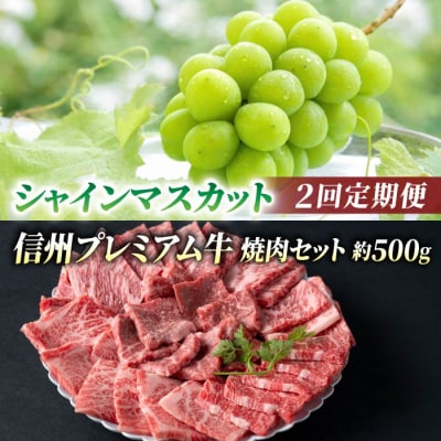 【2回定期便】信州プレミアム牛肉(焼肉用500g)・シャインマスカット2房