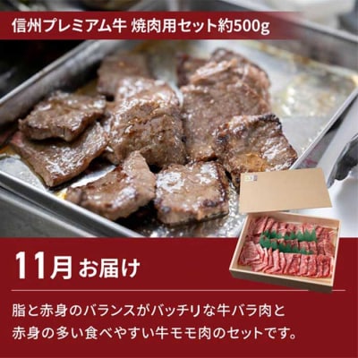 【2回定期便】信州プレミアム牛肉(焼肉用500g)・シャインマスカット2房