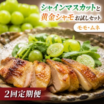 【2回定期便】とうみの名産定期便(シャインマスカット2房/信州黄金シャモ ムネ・モモセット700g)