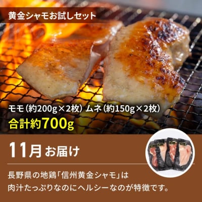 【2回定期便】とうみの名産定期便(シャインマスカット2房/信州黄金シャモ ムネ・モモセット700g)