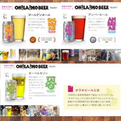 【クラフトビール】季節の10缶セット 飲み比べ