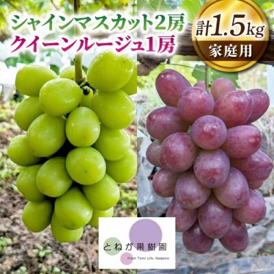 家庭用シャインマスカット2房&クイーンルージュ(R)1房、合計1.5kg以上|とねが果樹園