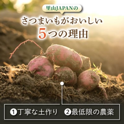 【不揃い】生きた土壌で育った『蜜芋 紅はるか 5kg』|里山JAPAN さつまいも