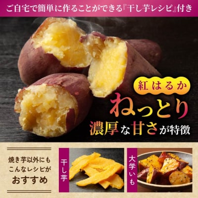 【不揃い】生きた土壌で育った『蜜芋 紅はるか 5kg』|里山JAPAN さつまいも