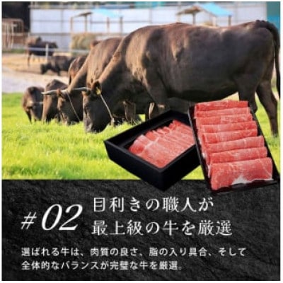 近江牛ヒレステーキ800g / 焼肉すだく