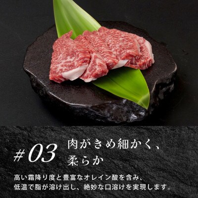 近江牛赤身スライス800g / 焼肉すだく