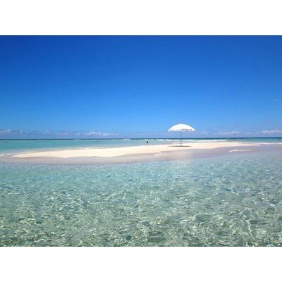 これはうまい!「島有泉」と相性ピッタリ!果汁100%まるごとしぼりシークヮーサージュース付き
