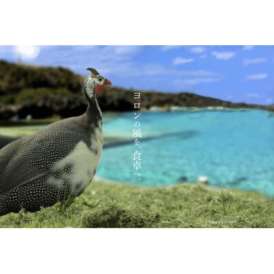 奄美黒ほろほろ鳥　部位小分け(1羽分)
