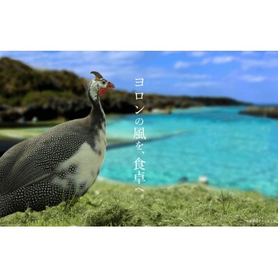 奄美黒ほろほろ鳥　むね、もも　各2枚